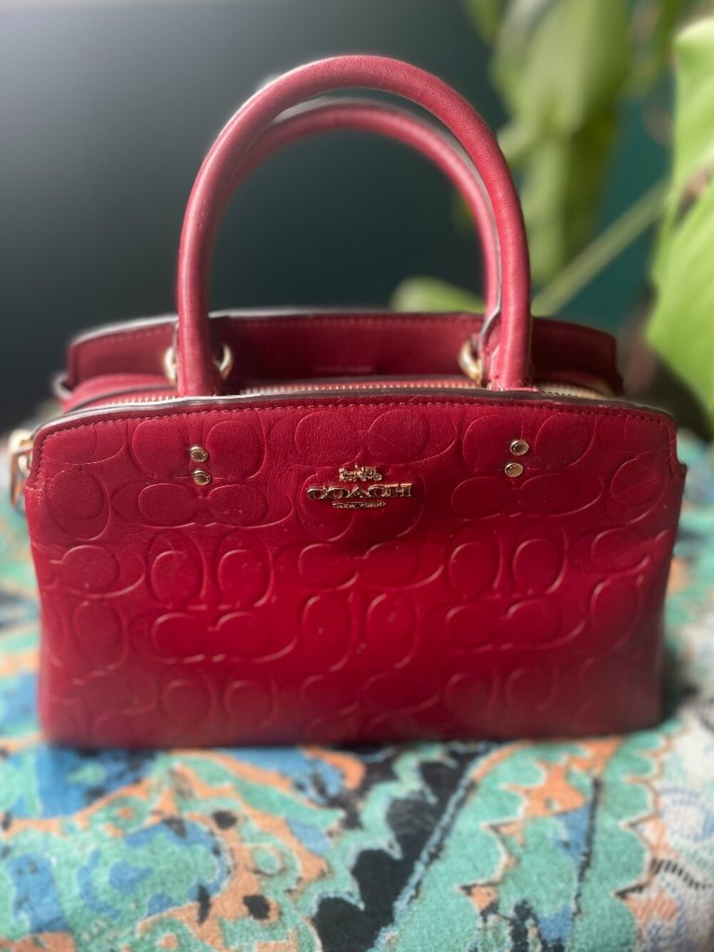 Coach Cherry Mini Lillie Carryall